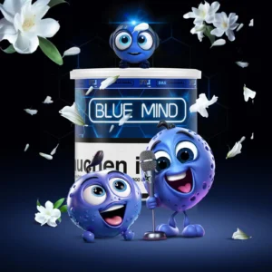 Hookain Tobacco Blue Mind Dry Base 70 гр.