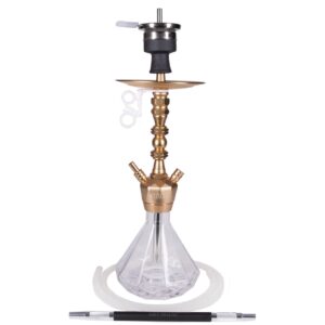 Amy Deluxe 062 GOLD CLEAR