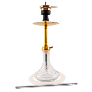 AMY DELUXE 120.02 GOLD CLEAR